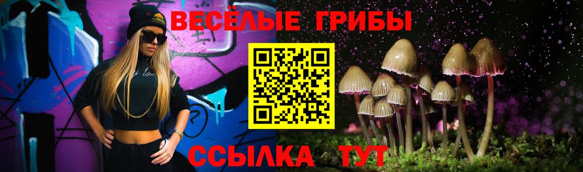 Псилоцибиновые грибы прущие грибы  Вход с VPN  купить наркотик  Майский  Галлюциногенные грибы Psilocybine cubensis 